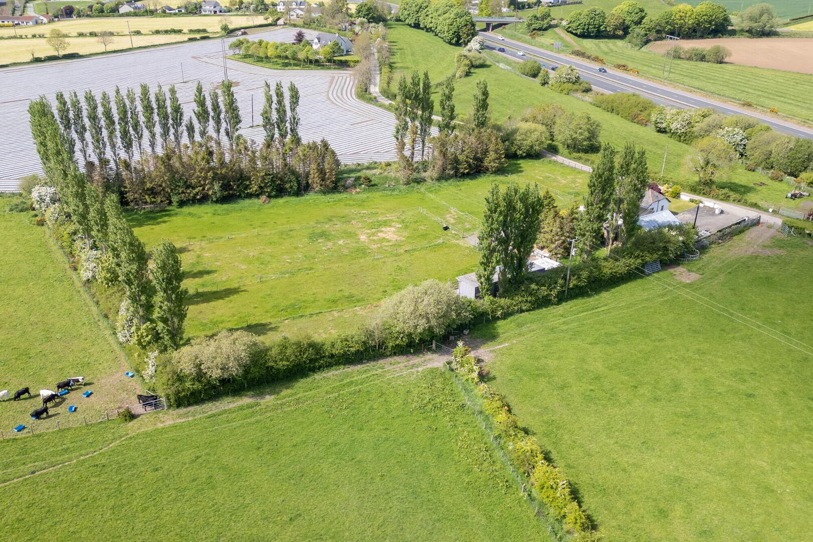 A Country Cottage With Paddock, Stables And Garage, 3 Hillsborough Road 9 of 19