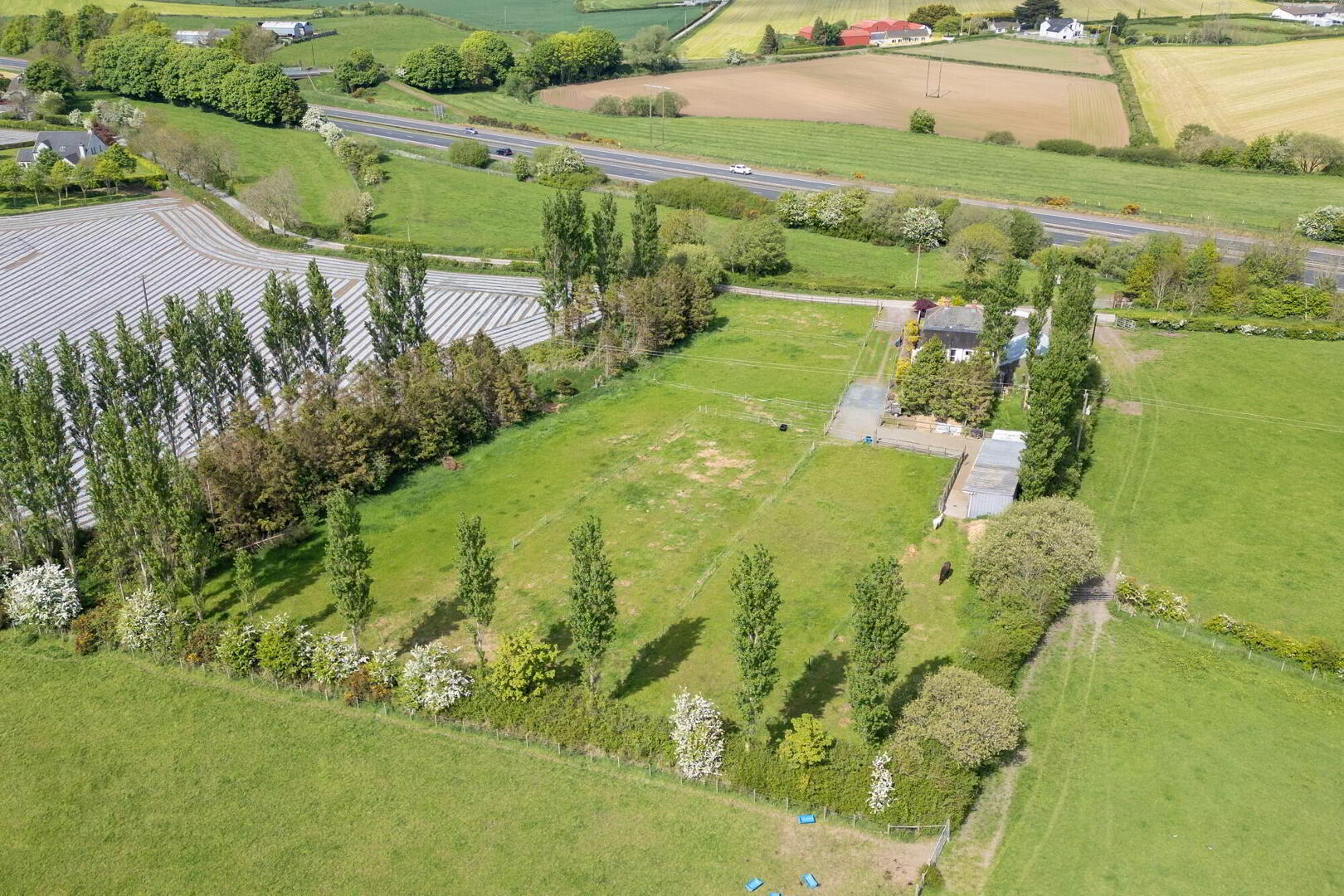 A Country Cottage With Paddock, Stables And Garage, 3 Hillsborough Road 10 of 19