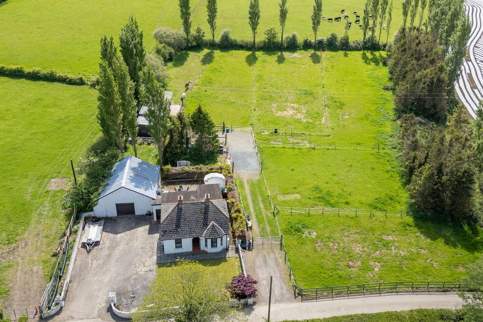A Country Cottage With Paddock, Stables And Garage, 3 Hillsborough Road 1 of 19
