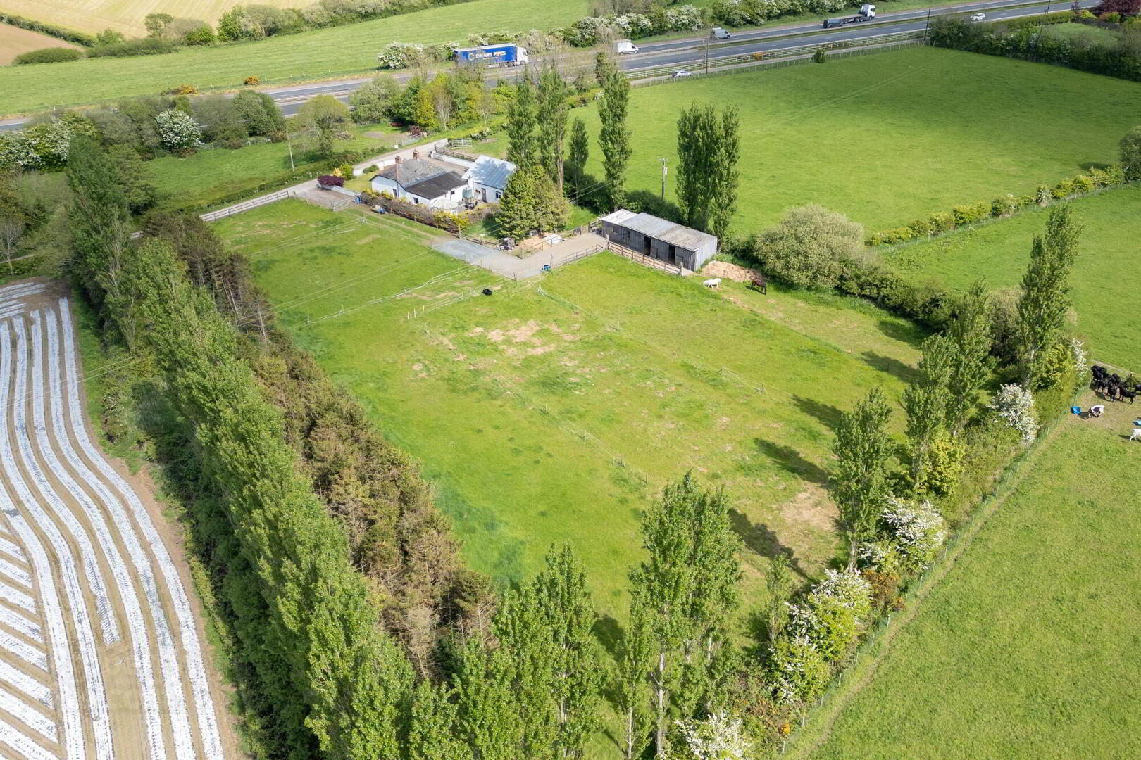 A Country Cottage With Paddock, Stables And Garage, 3 Hillsborough Road 8 of 19