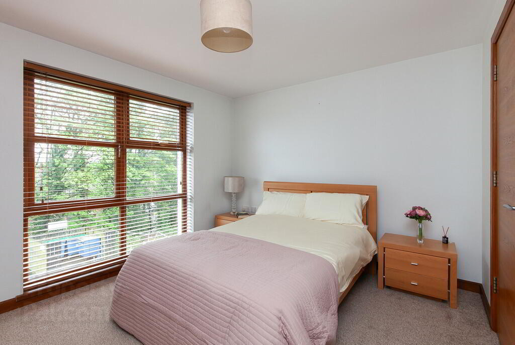 226 Malone Road 14 of 27