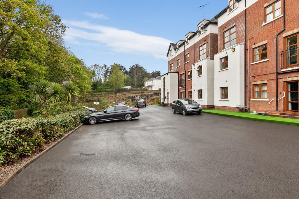 226 Malone Road 26 of 27
