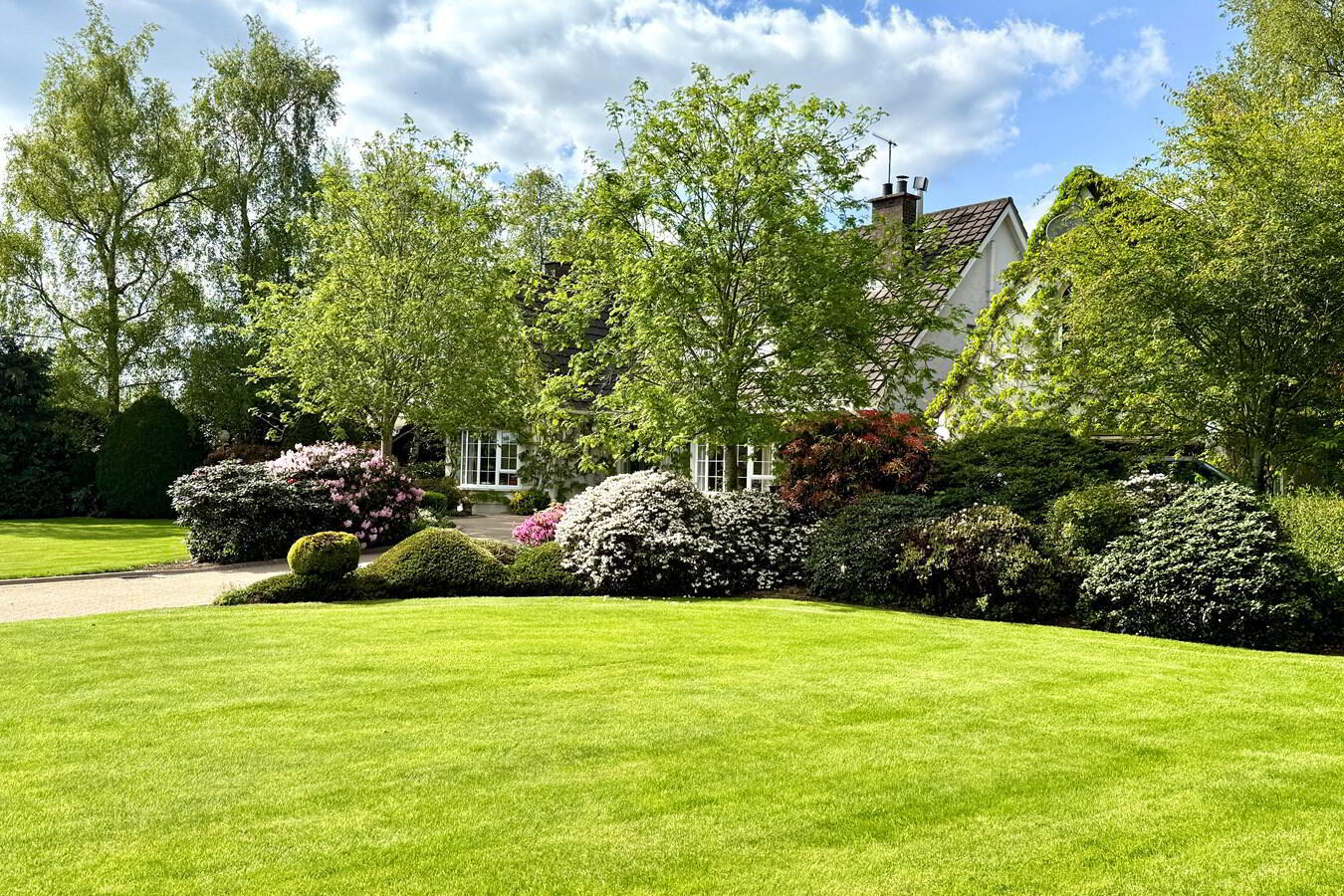 170 Mullalelish Road 41 of 50