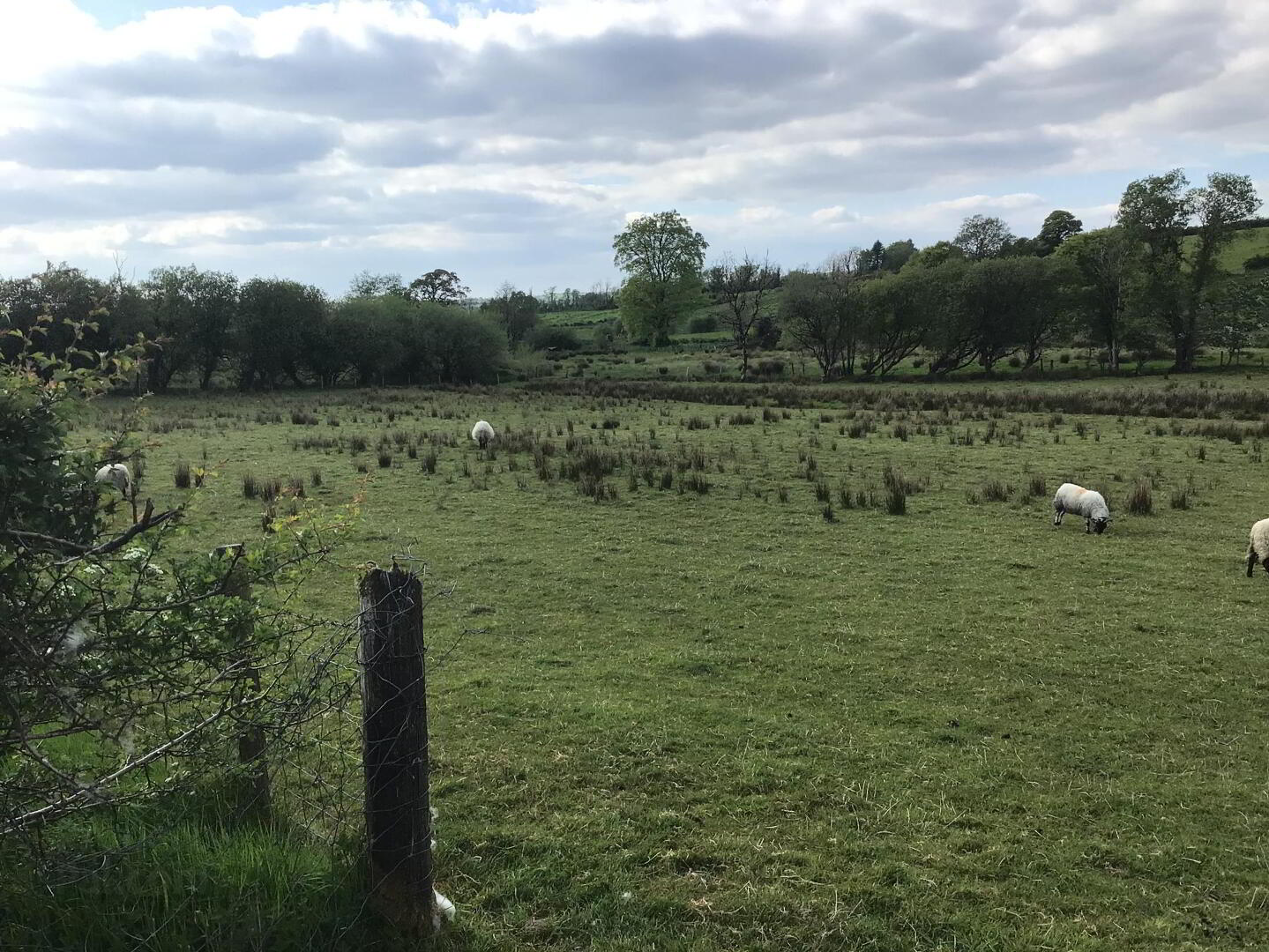 Killycappy Road 3 of 10