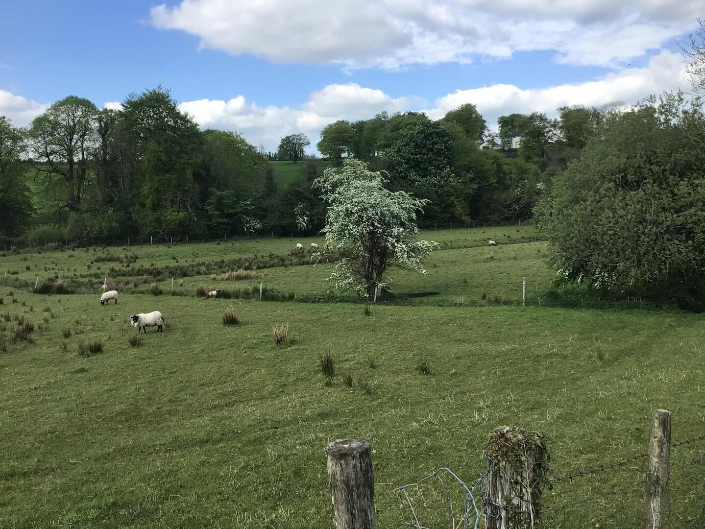 Killycappy Road 4 of 10