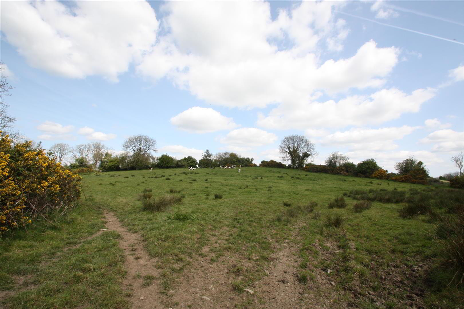 Land Adj To, 11 Cluntagh Road 6 of 8