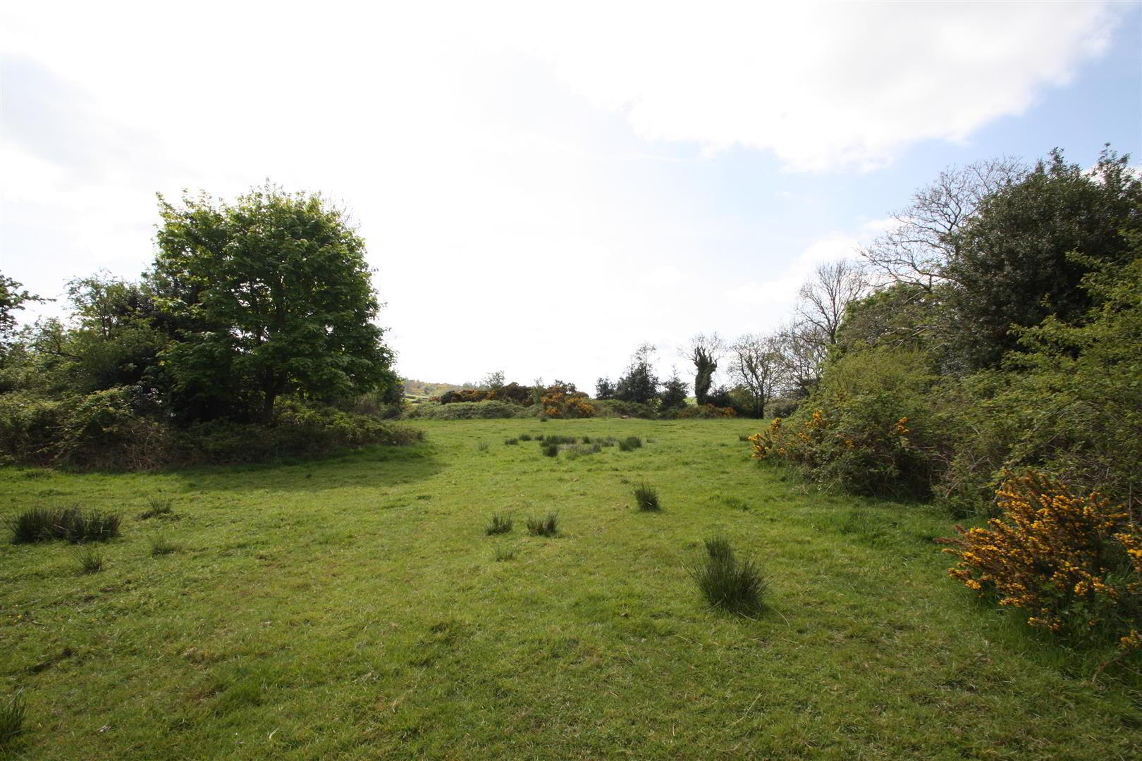 Land Adj To, 11 Cluntagh Road 5 of 8