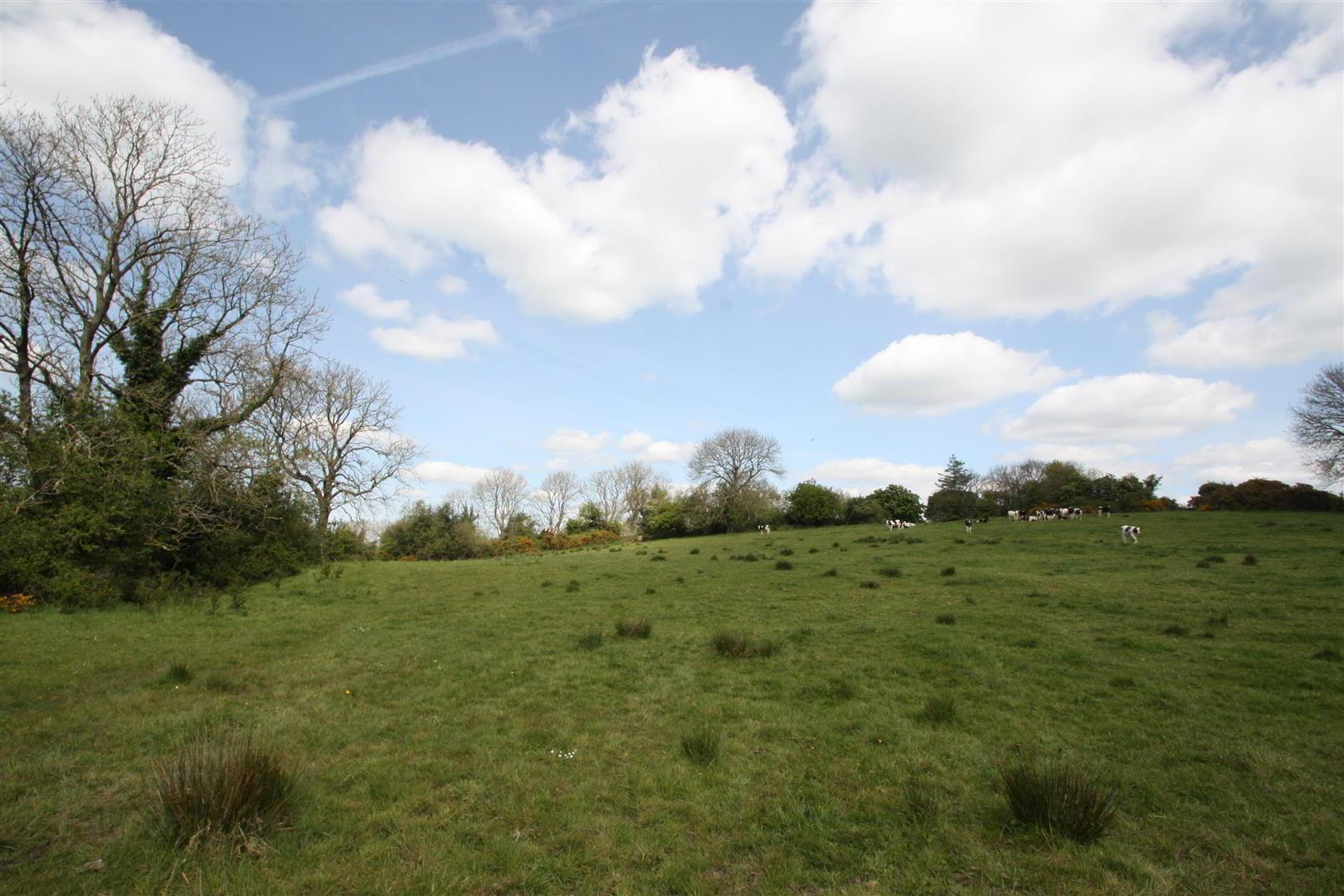 Land Adj To, 11 Cluntagh Road 7 of 8