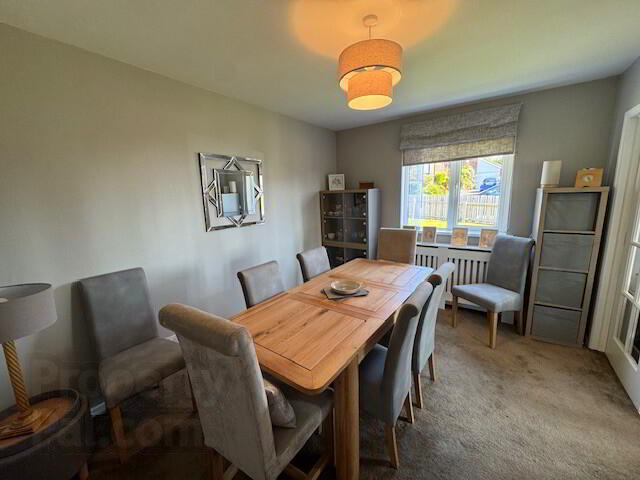 42 Donegall Avenue 7 of 16