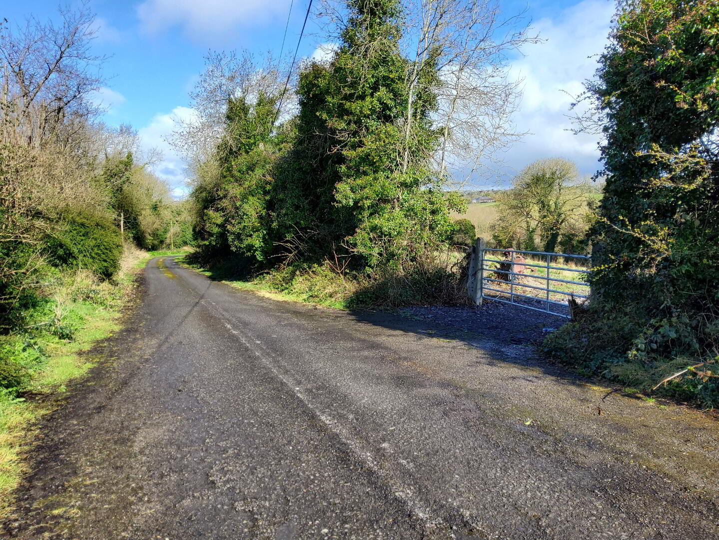 3 ACRES, Knockmooney 4 of 11