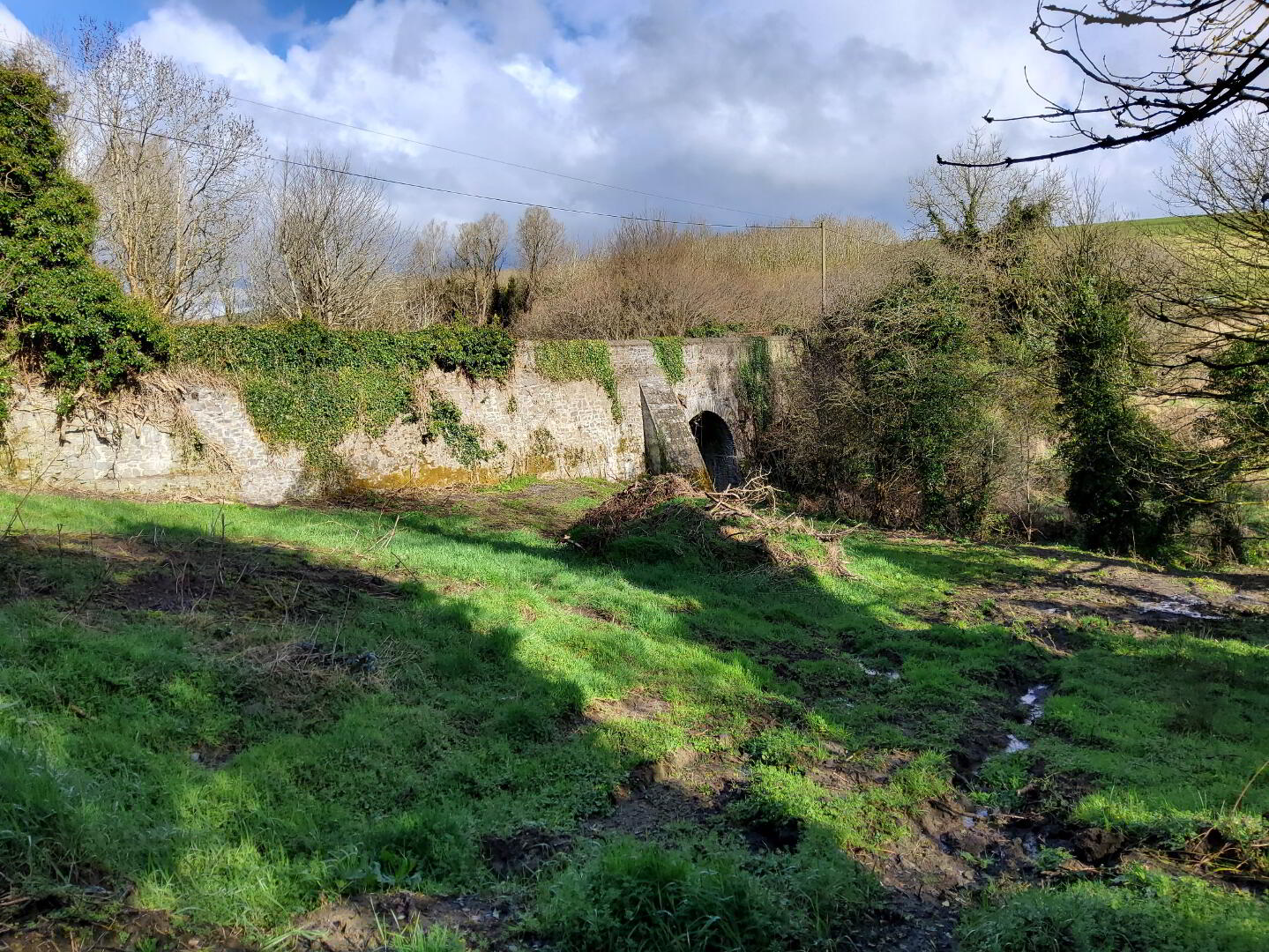 3 ACRES, Knockmooney 7 of 11