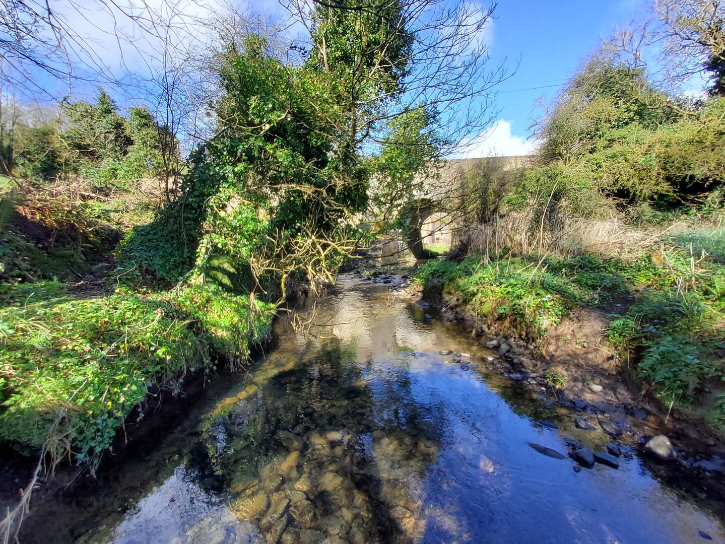 3 ACRES, Knockmooney 8 of 11
