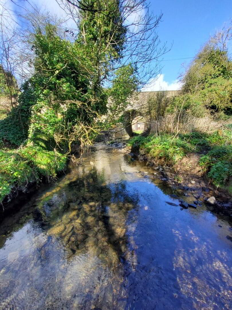 3 ACRES, Knockmooney 9 of 11
