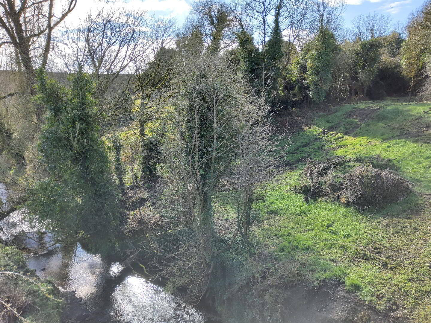 3 ACRES, Knockmooney 11 of 11