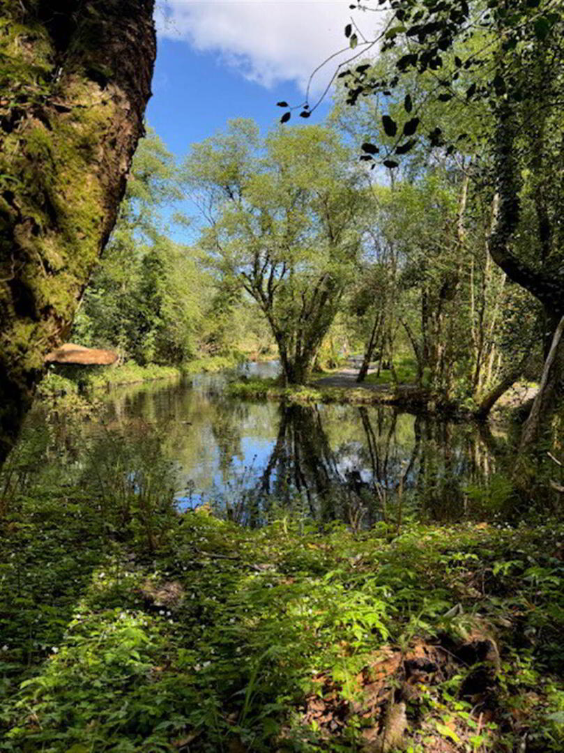 7 Waters Edge 57 of 57