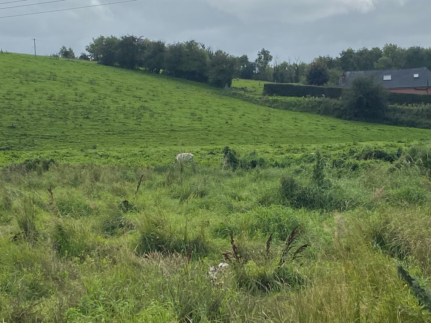 Gortakeegan 4 of 9