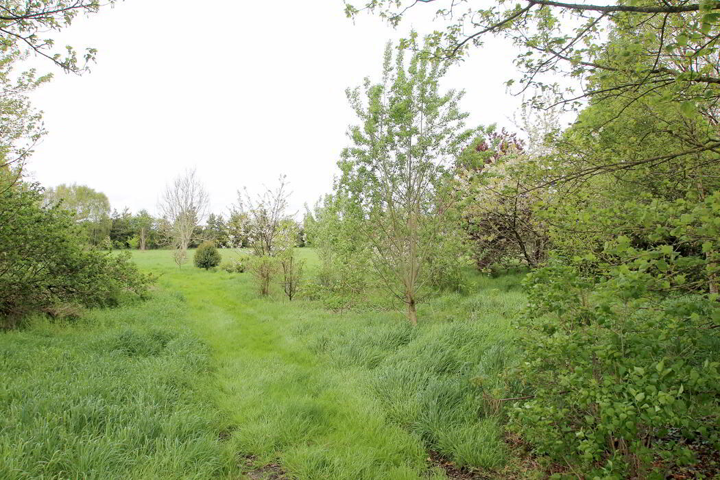 Barony House, The Meelaghans 35 of 41
