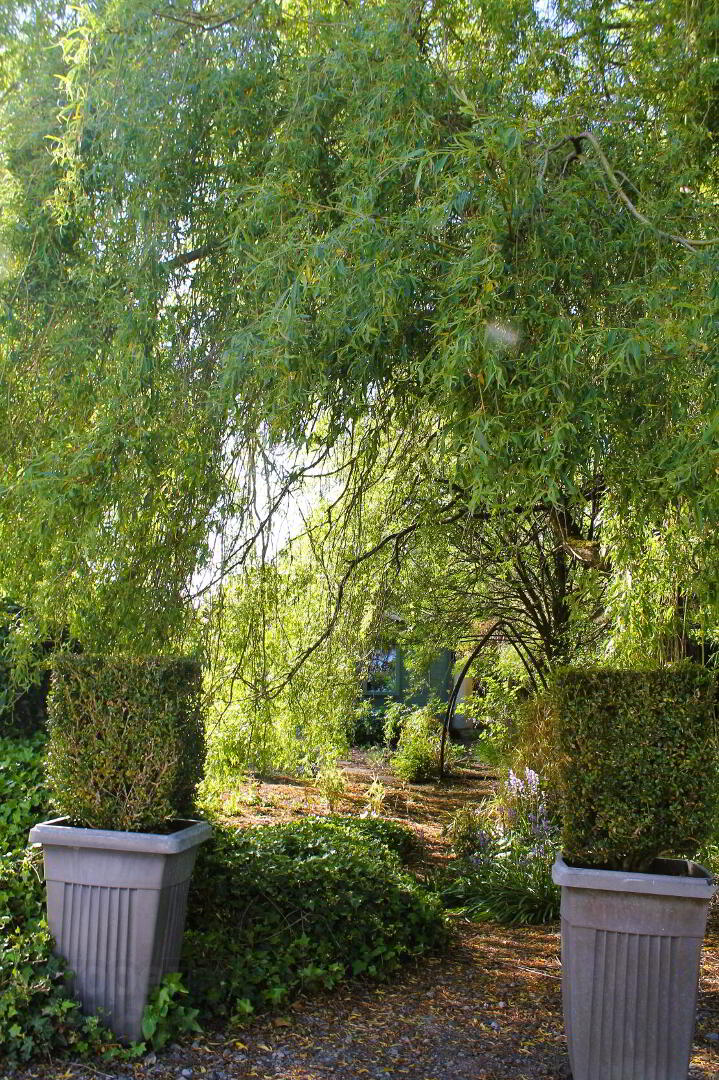 Barony House, The Meelaghans 34 of 41