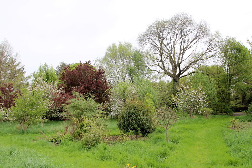 Barony House, The Meelaghans 37 of 41