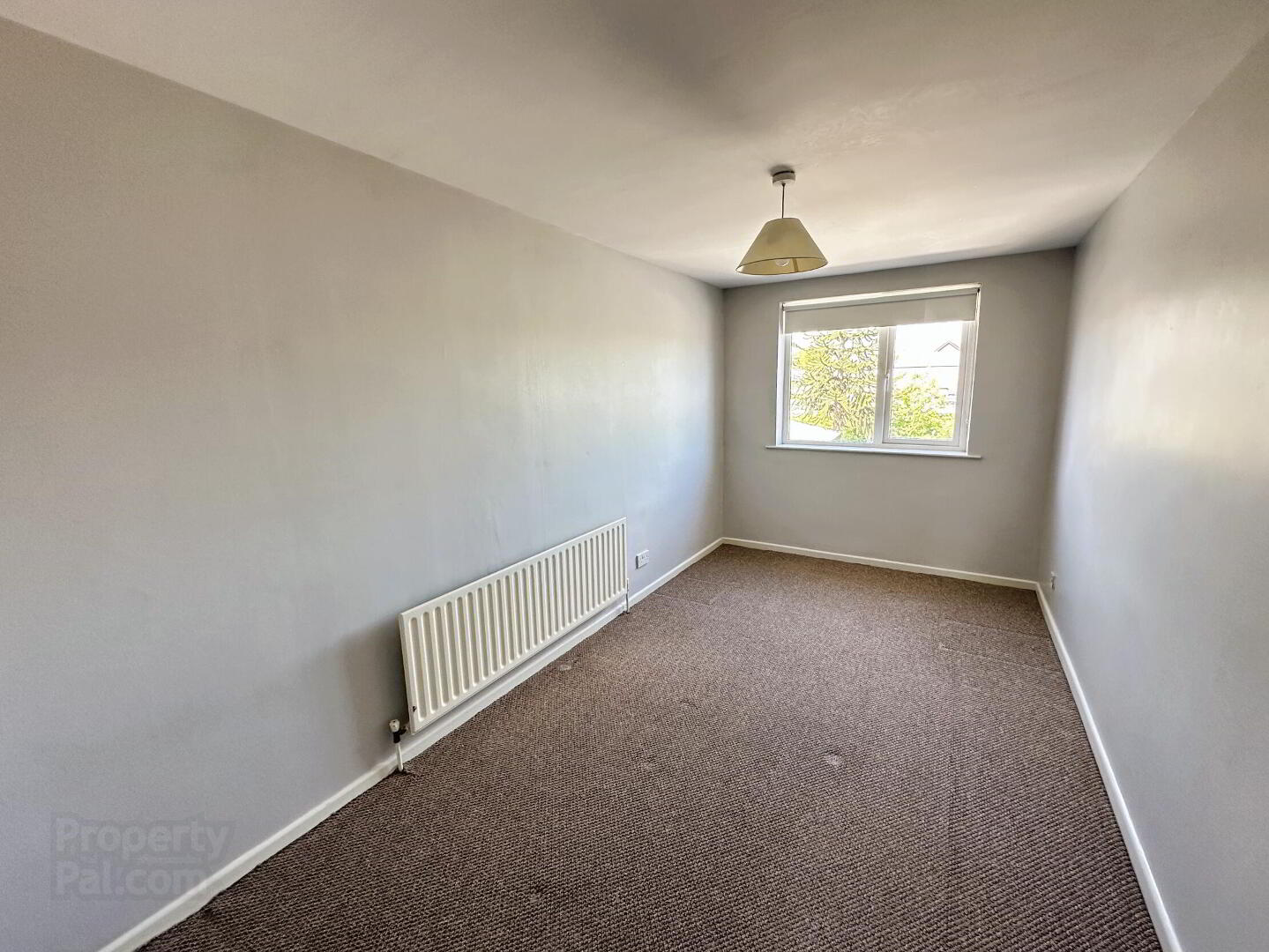 6 Kenlis Street 14 of 17