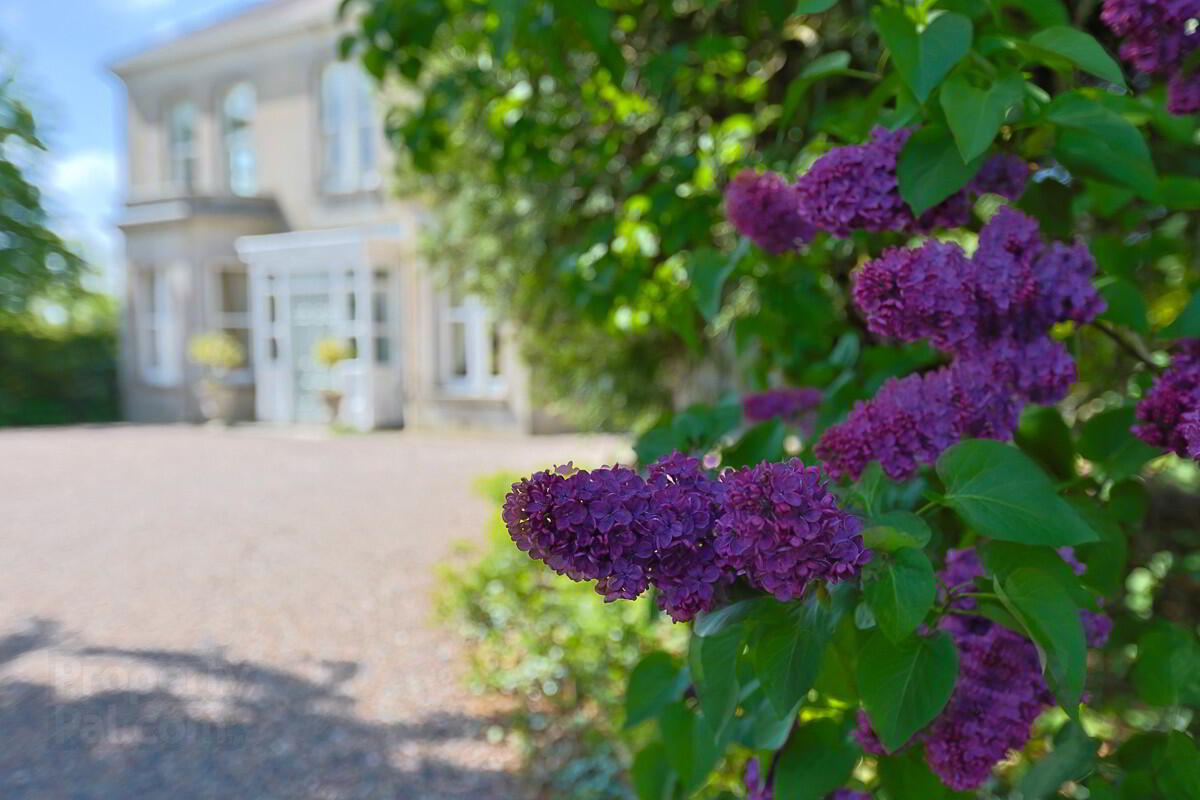 The Old Rectory, 8 Kilmacanty Road 4 of 148