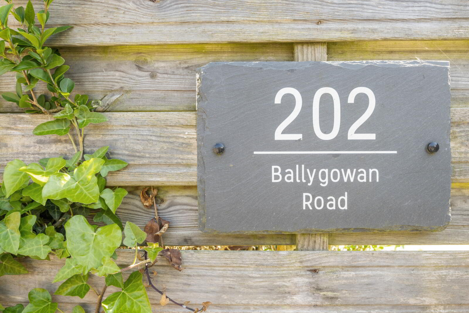 202 Ballygowan Road 4 of 55