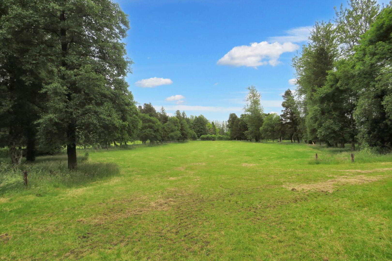 31 Acres, Ardmore & Killaree 4 of 8