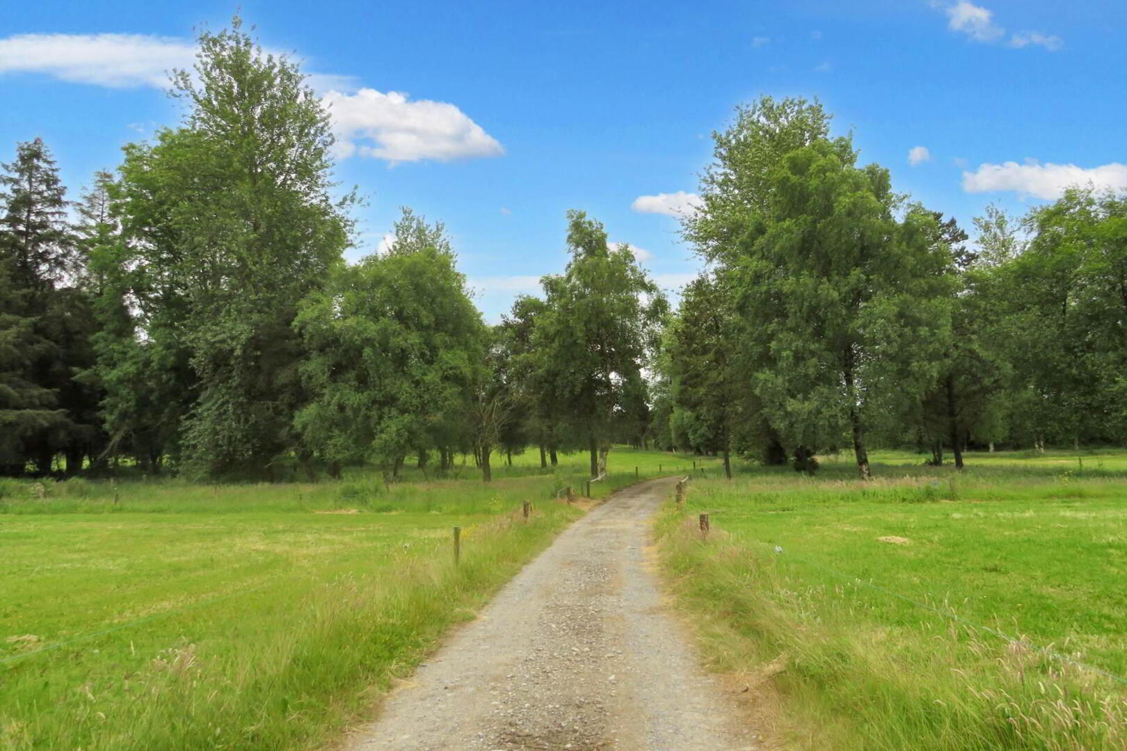 31 Acres, Ardmore & Killaree 3 of 8