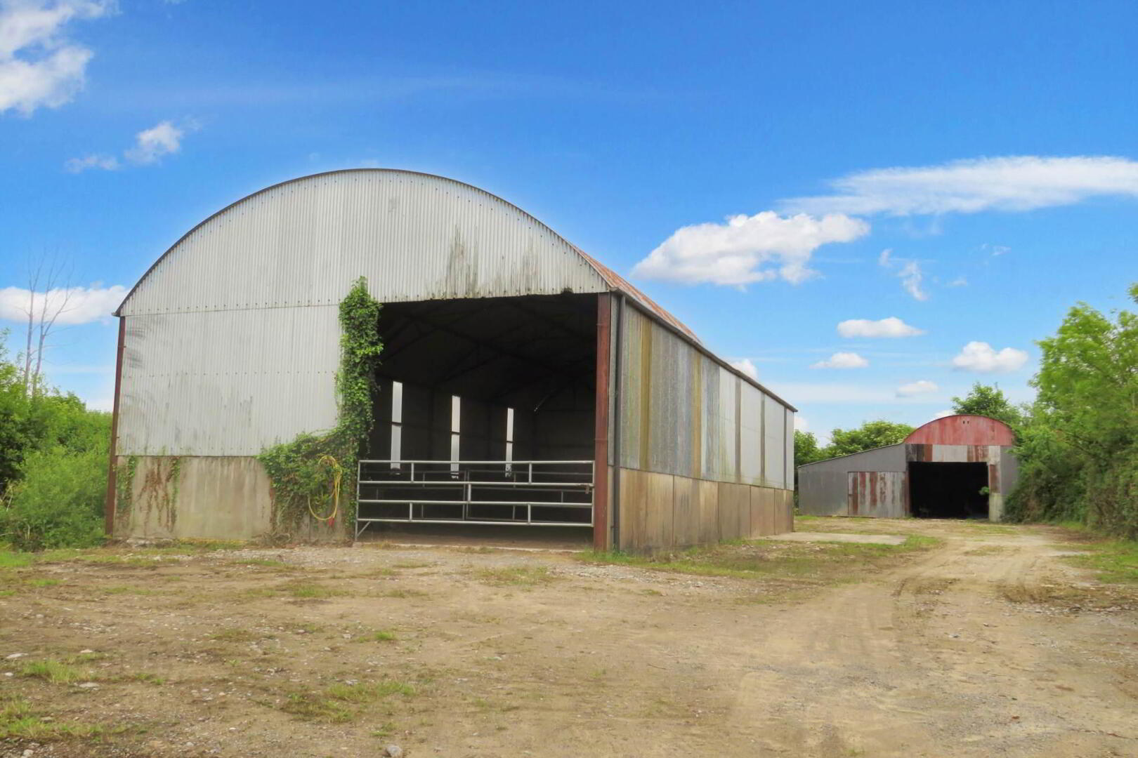 31 Acres, Ardmore & Killaree 6 of 8