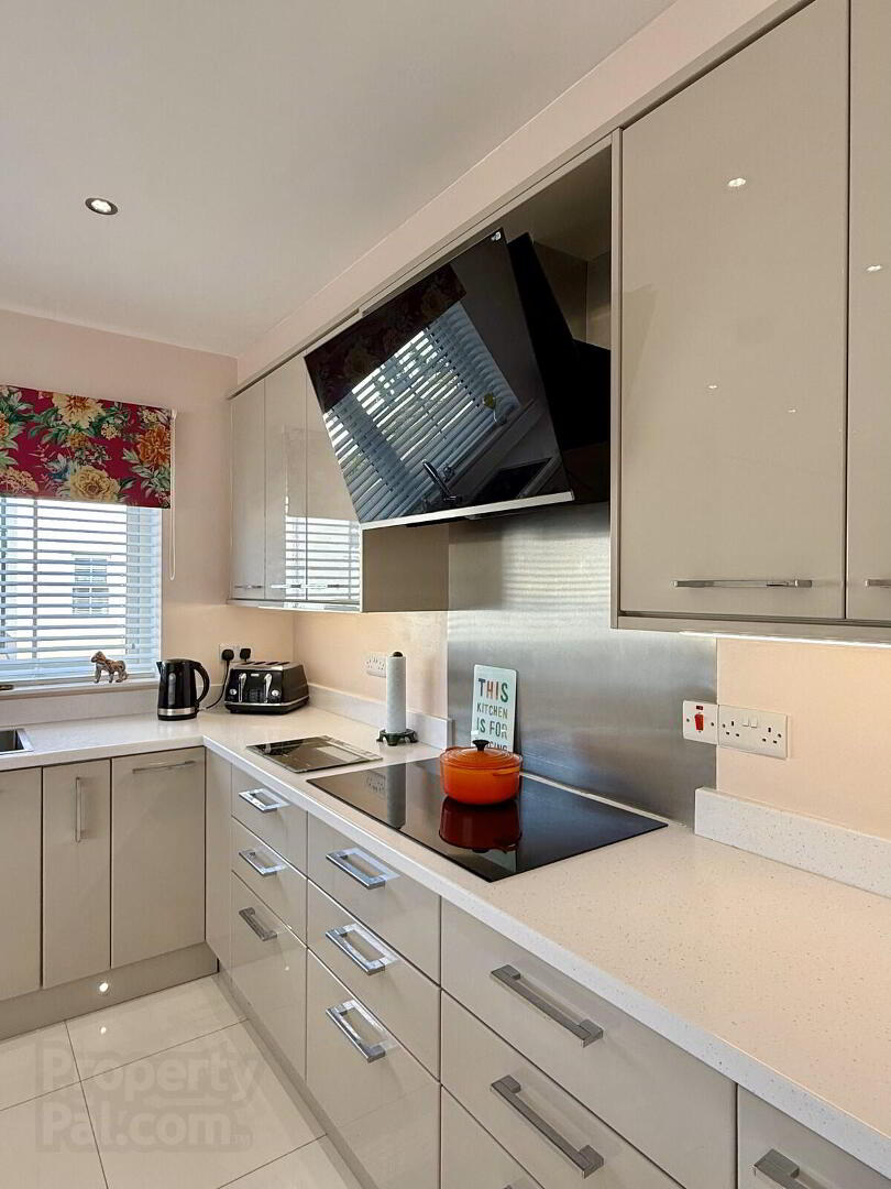 9 Craigagh Grove 16 of 36
