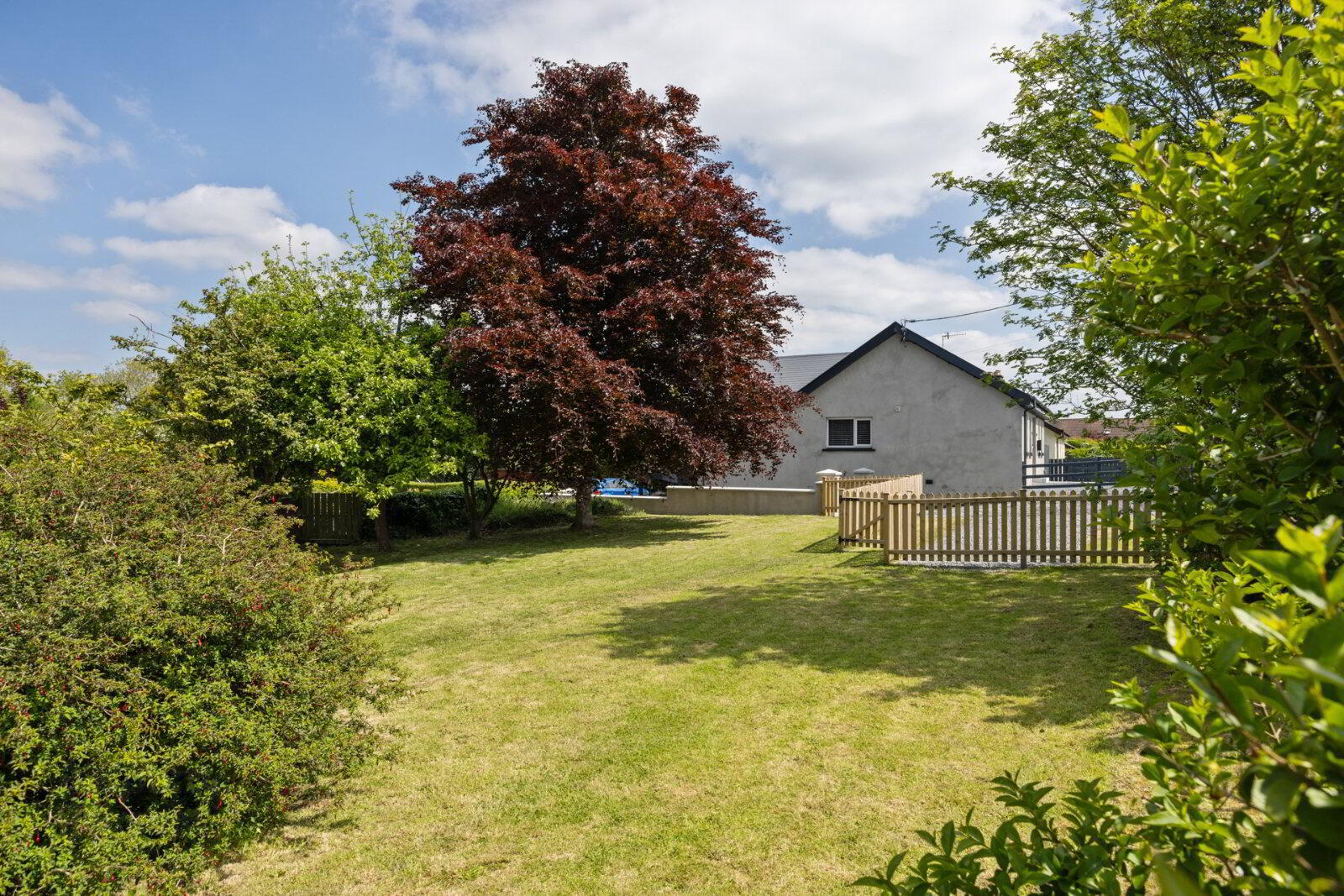 10 Lurgan Road 11 of 13