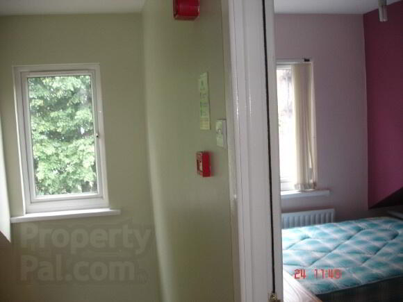 173 Dunluce Avenue 9 of 15