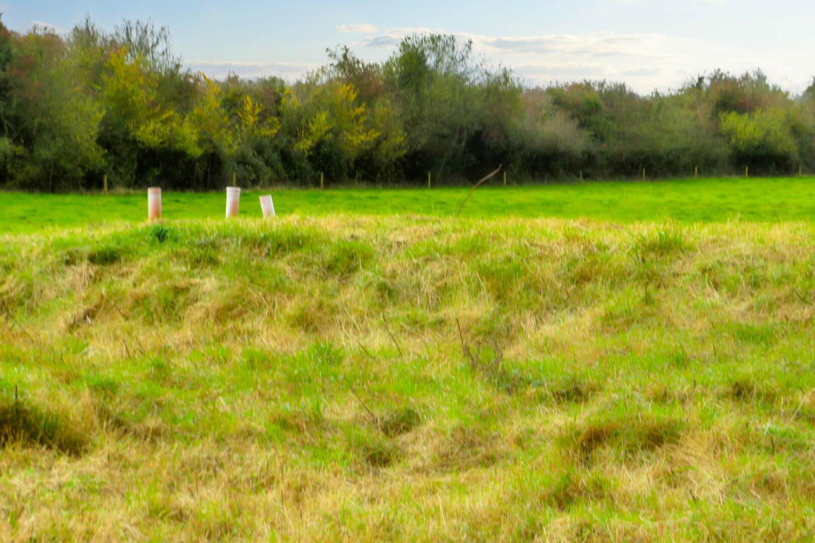 property description image