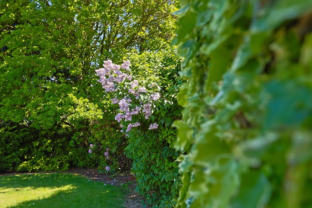 101 Bleary Road 88 of 92