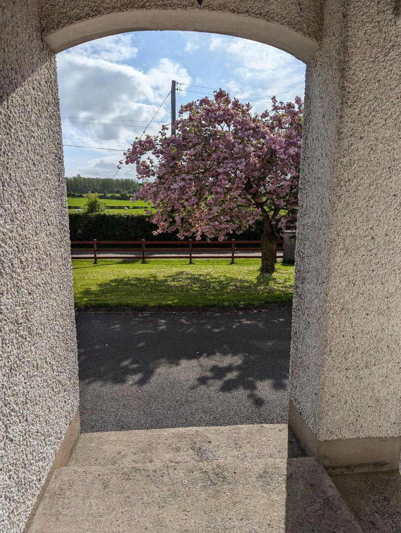 71b Ballinderry Road 16 of 16