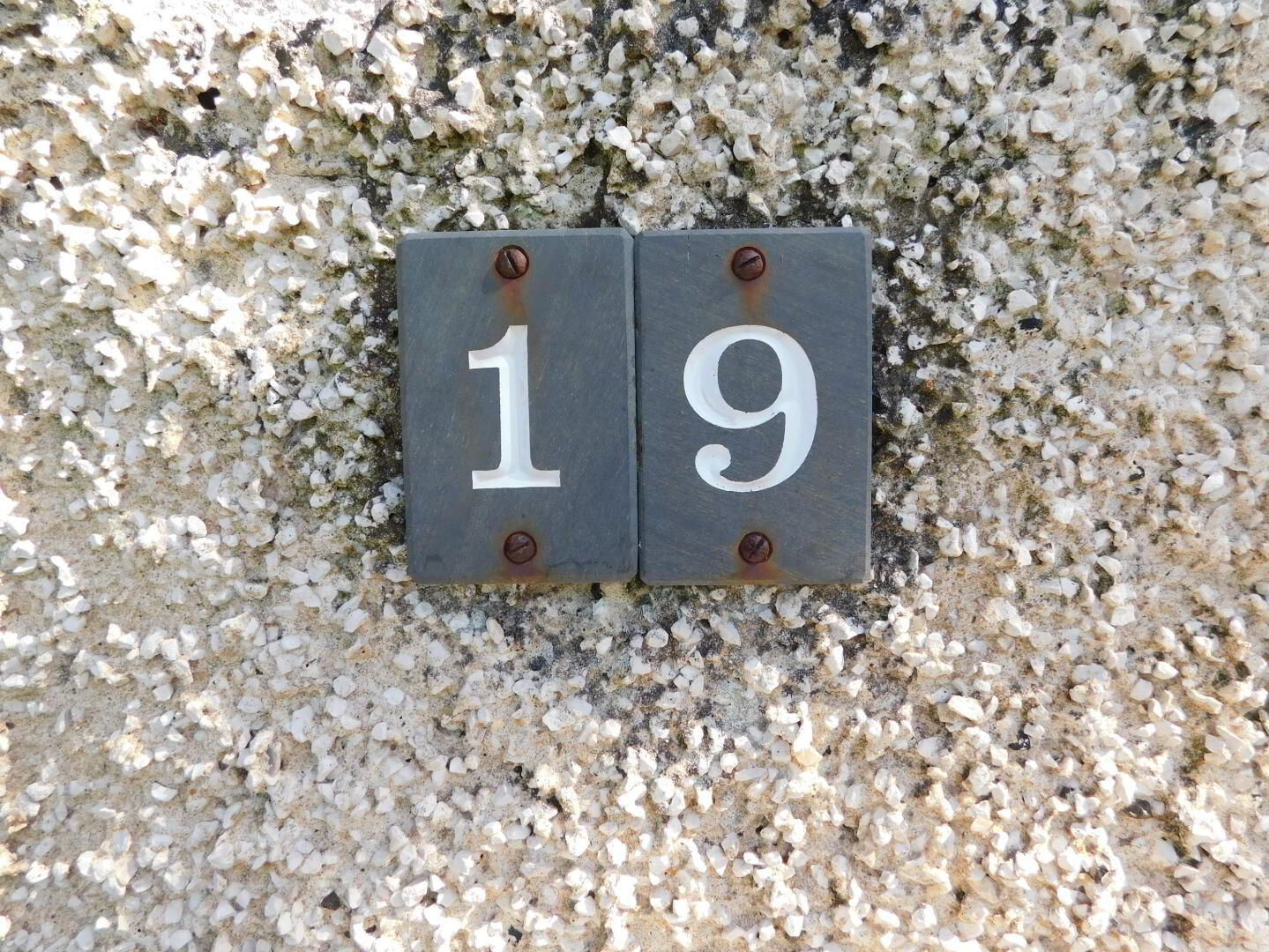 19 Mulmona Road 3 of 41