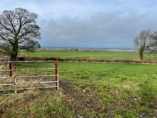 Small Parcel Of Land At Millockstown, Ardee 1 of 2