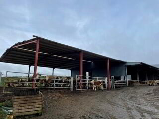 Lands & Farm Buildings At Millockstown, Ardee 4 of 4