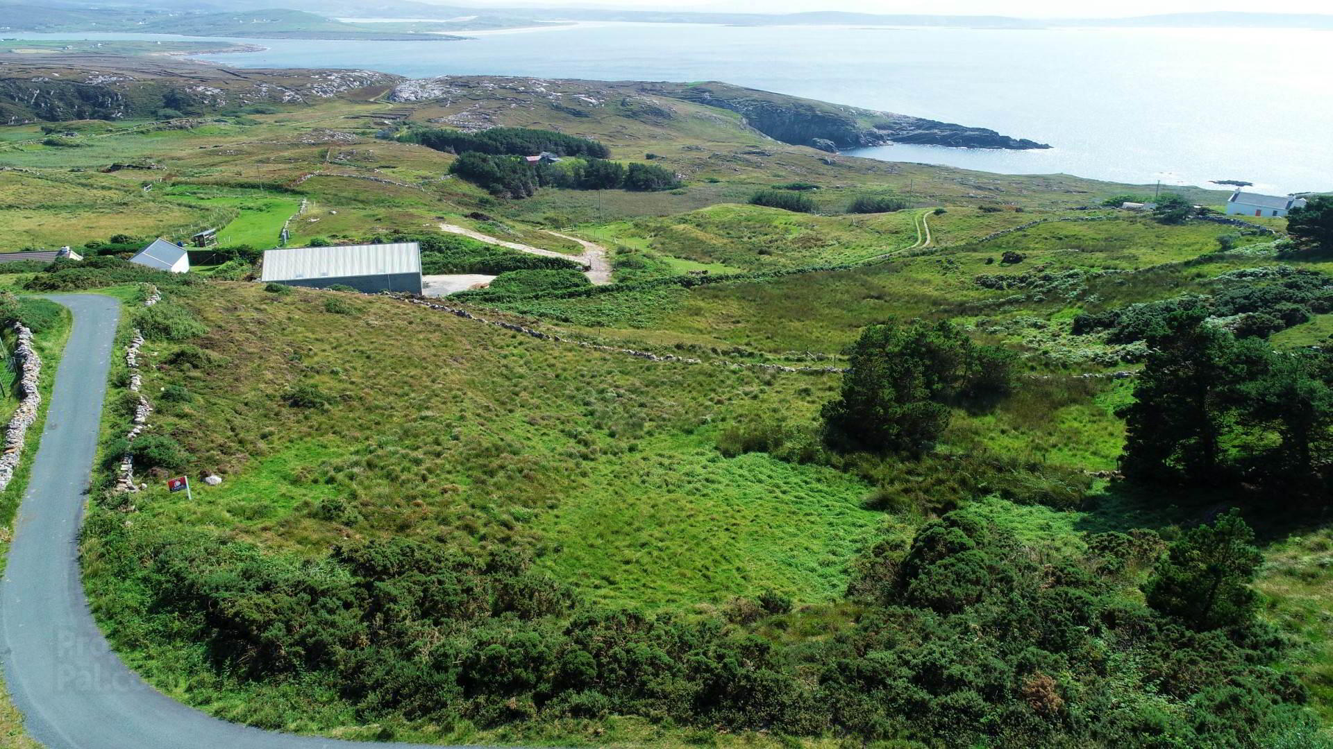 Falcorrib 5 of 10