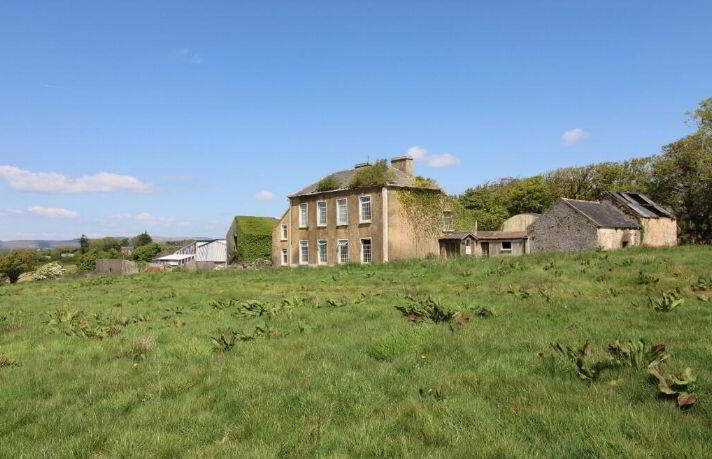 Castleview House, Paddock 13 of 17