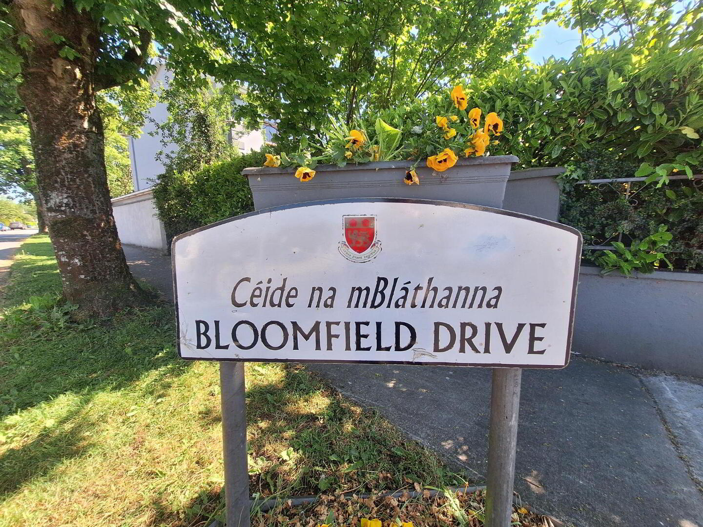14 Bloomfield Drive 35 of 39