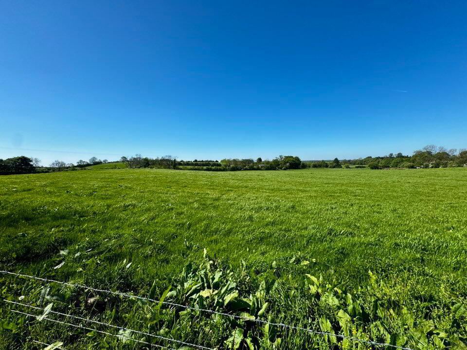 36a Ballyweaney Road 30 of 33