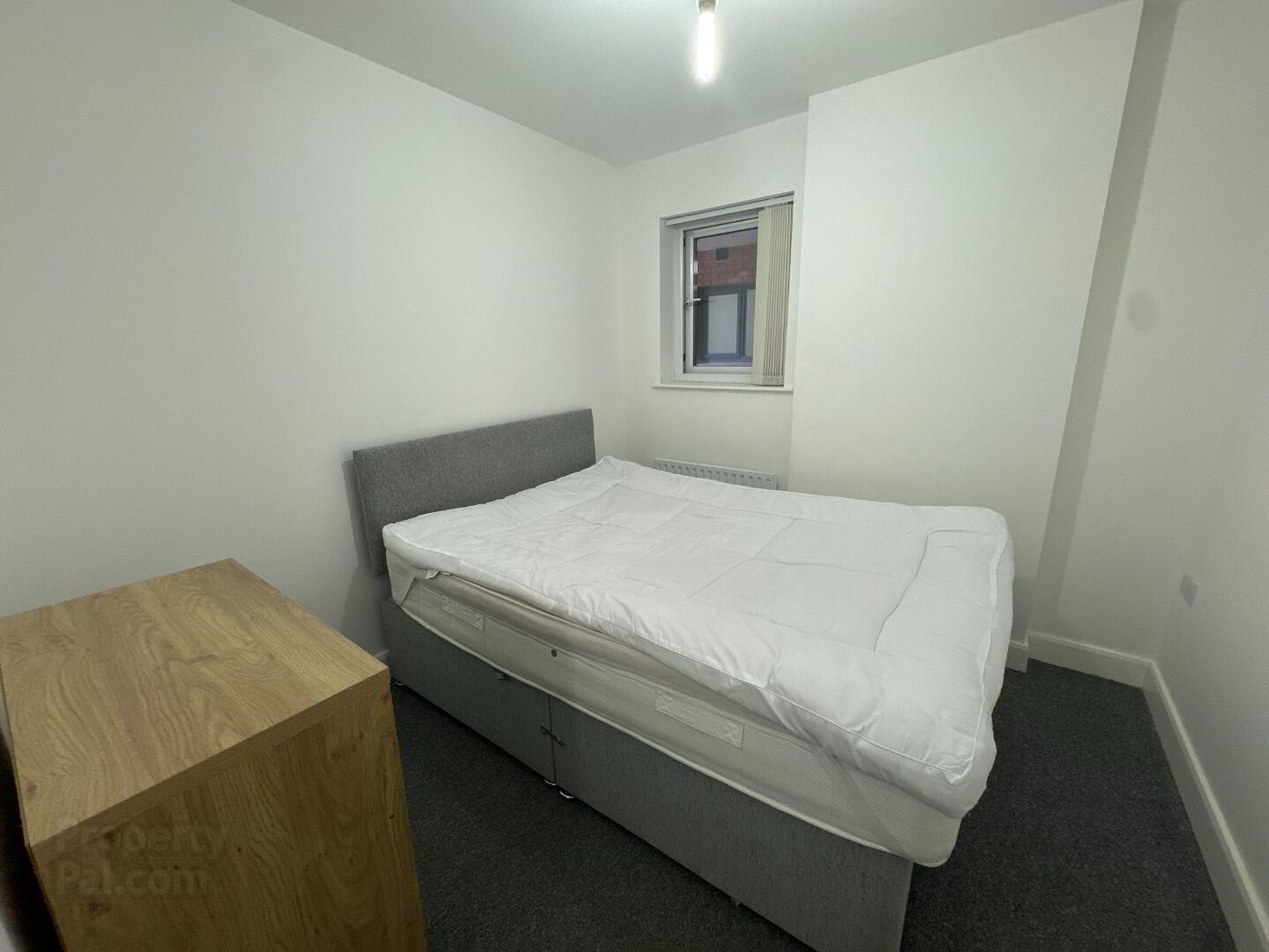 409 College Court Central, 56 King Street 9 of 14