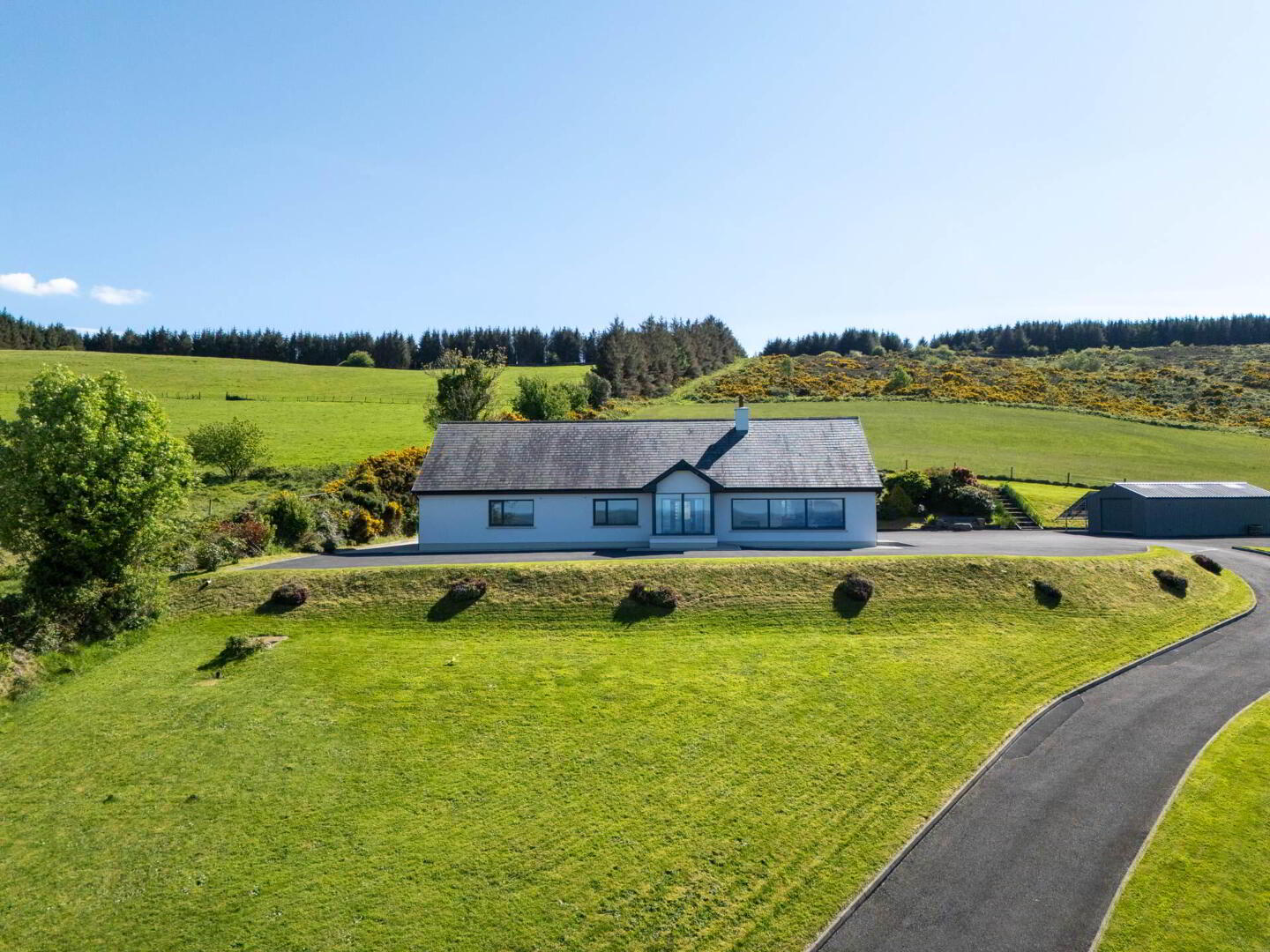 Ballymoylan 36 of 37