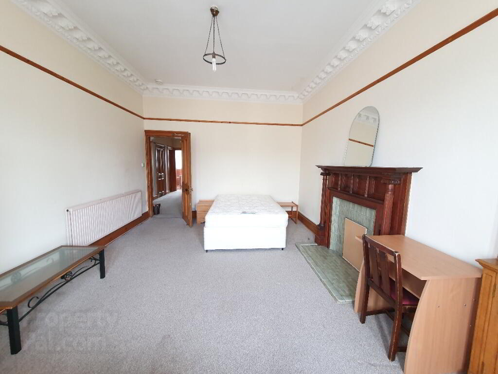 11 Arden Street 5 of 8