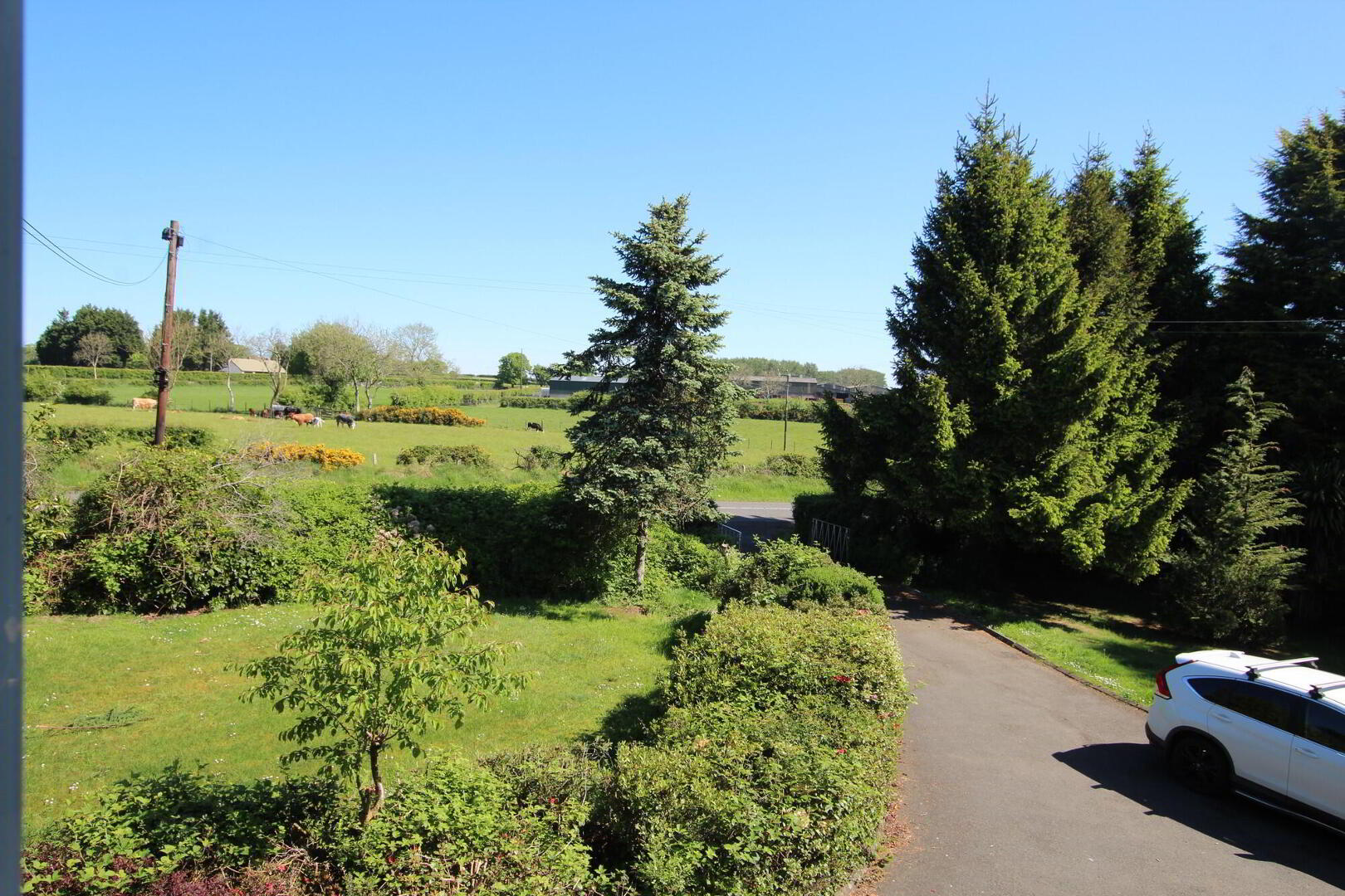17 Ballyhill Road 8 of 19