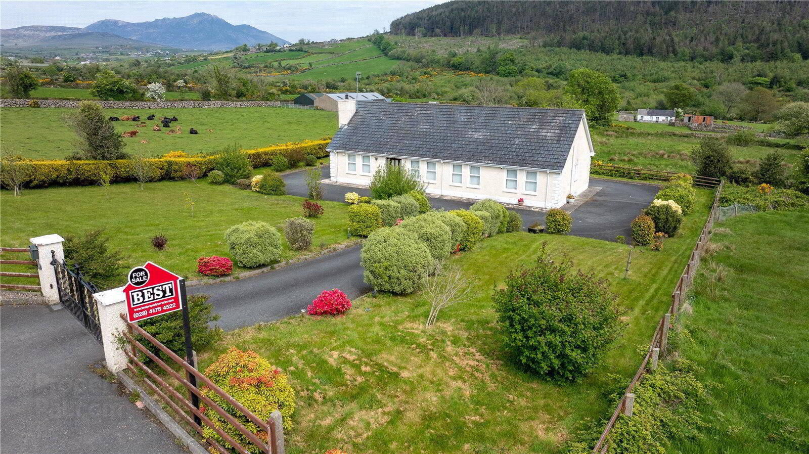 85 Tullyframe Road 1 of 42