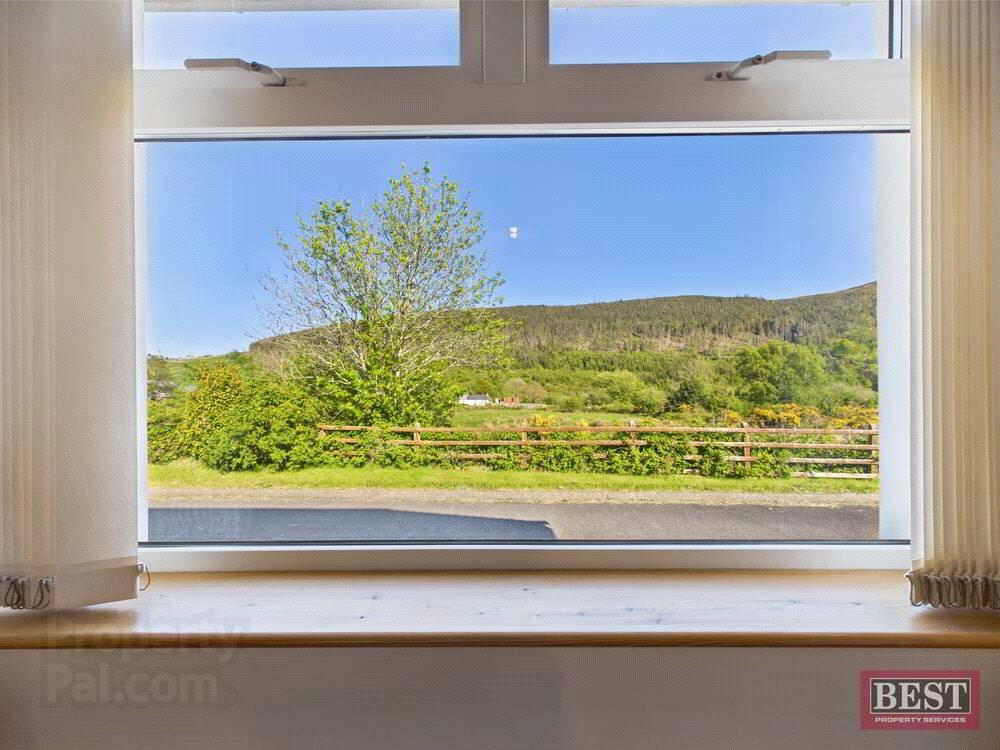 85 Tullyframe Road 30 of 42
