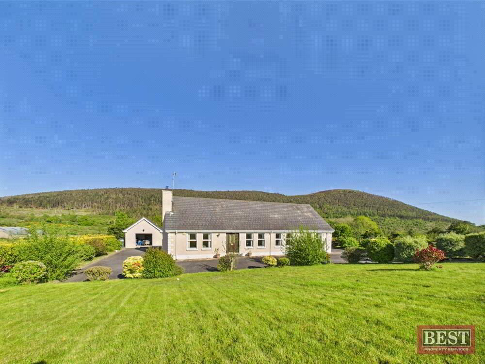 85 Tullyframe Road 31 of 42