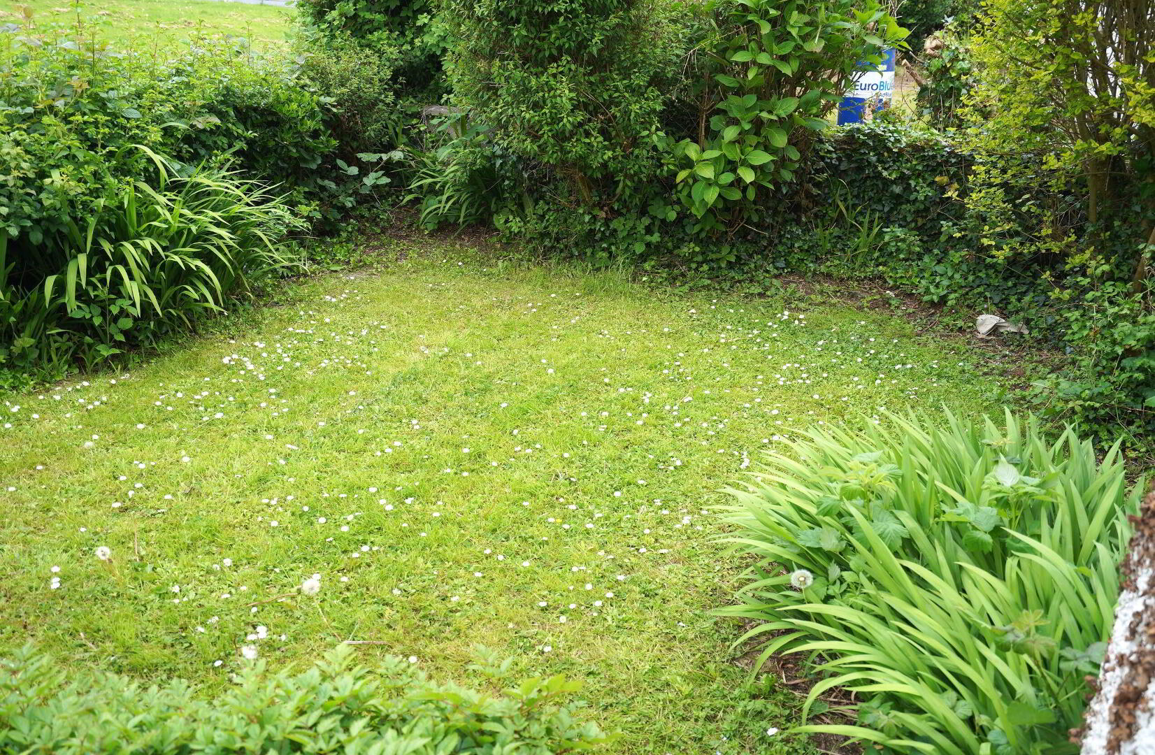 17 Aidan Park 23 of 27